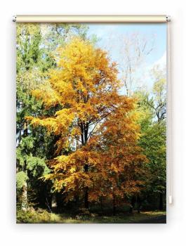 Rollo Heideglück, Rollo, Motivrollo, Rollo mit Druck, Fotorollo, bedrucktes Rollo, Fensterrollo,verdunkelndes Rollo, Sonnenschutz Rollo